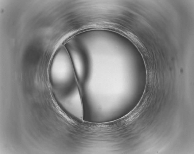 X0000060250846200510281142