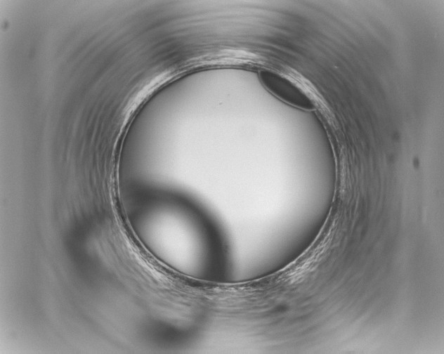 X0000060250850200510281142