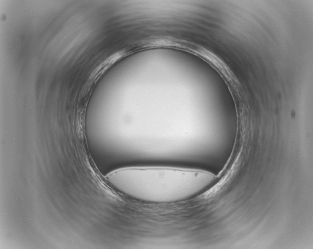 X0000060250857200510281142