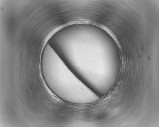 X0000060250861200510281143