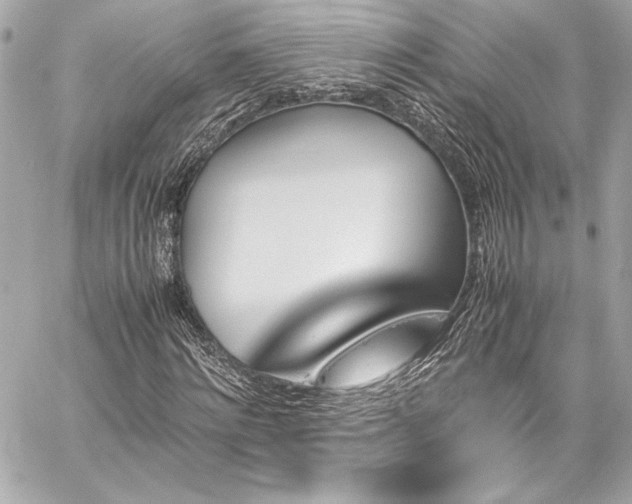 X0000060250868200510281142