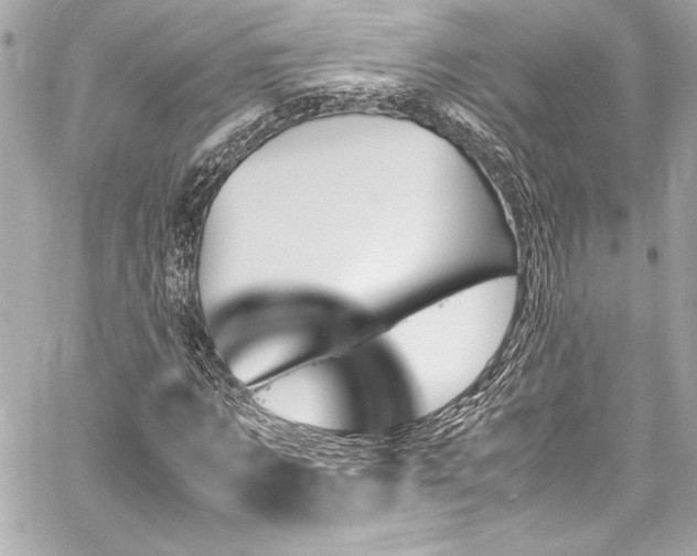 X0000060250869200510281142