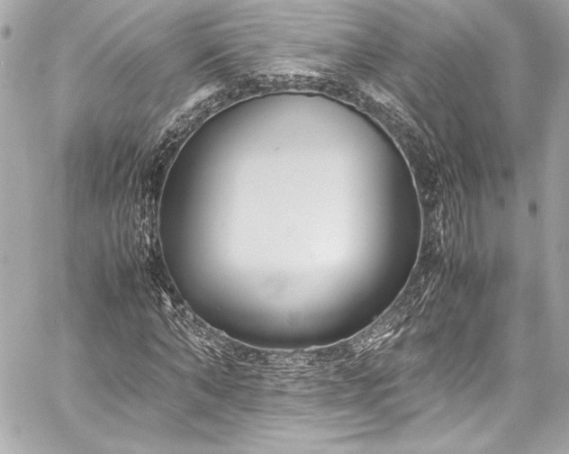 X0000060250870200510281142