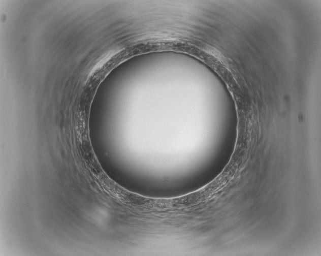 X0000060250871200510281142