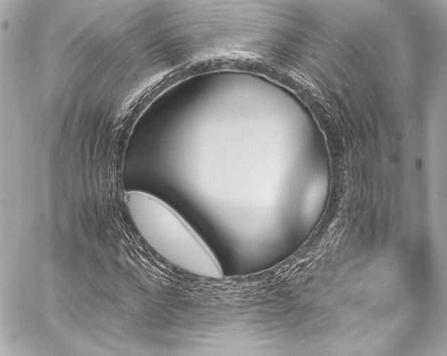 X0000060250872200510281142