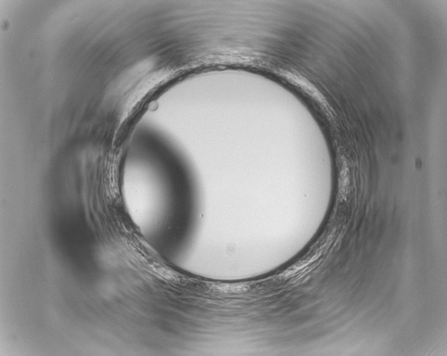 X0000060250878200510281142