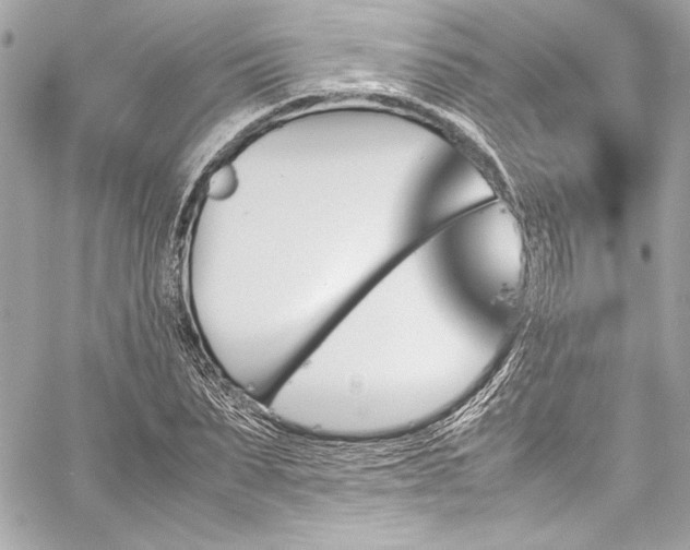X0000060250879200510281142