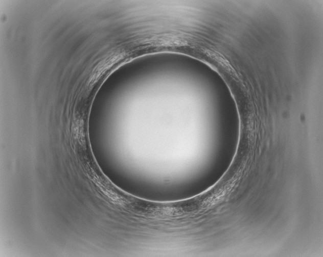 X0000060250881200510281142