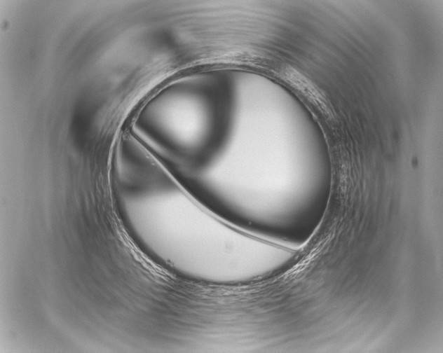 X0000060250884200510281142