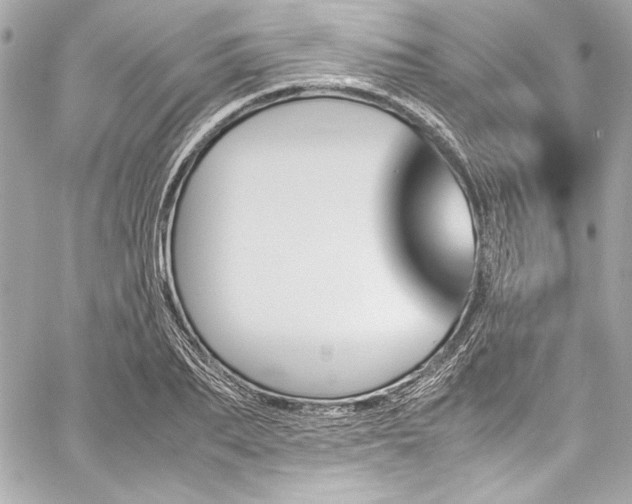 X0000060250887200510281141