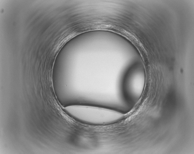 X0000060250889200510281141