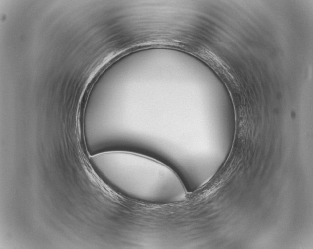 X0000060250892200510281141