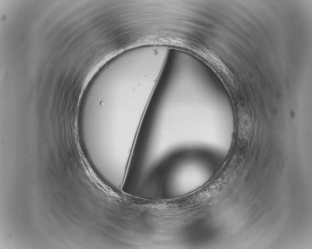 X0000060250896200510281141
