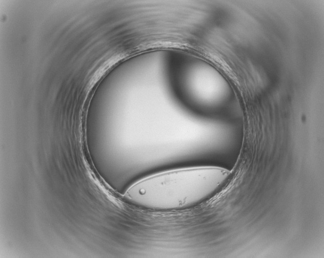 X0000060250898200510281141
