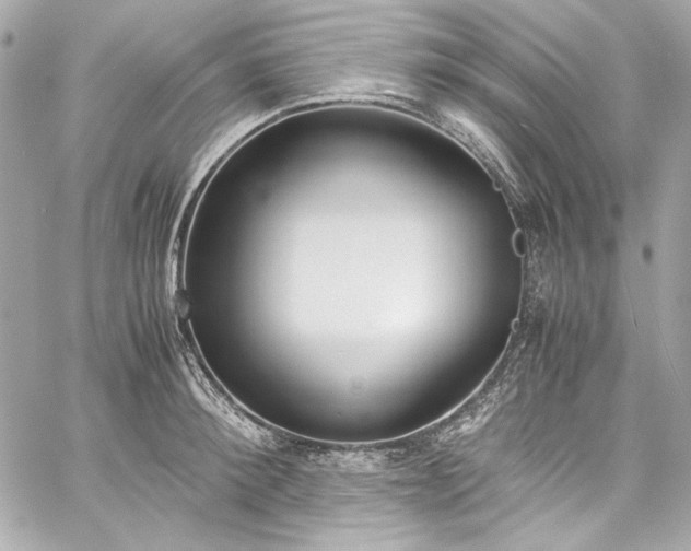 X0000060250900200510281141