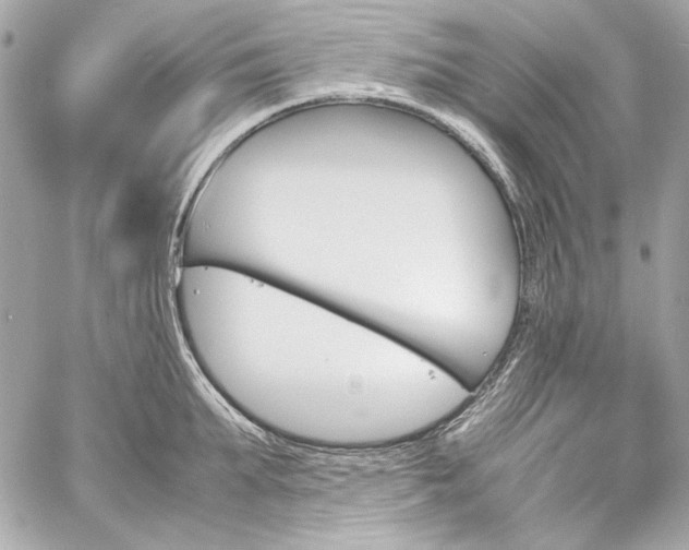 X0000060250903200510281141