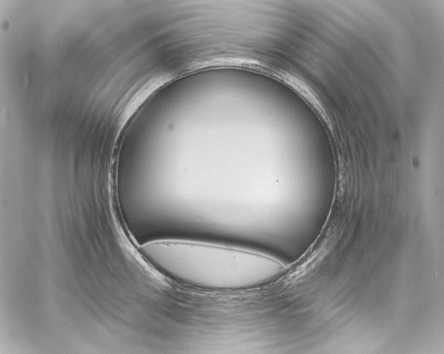X0000060250906200510281141