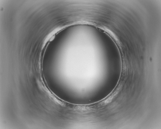 X0000060250910200510281141