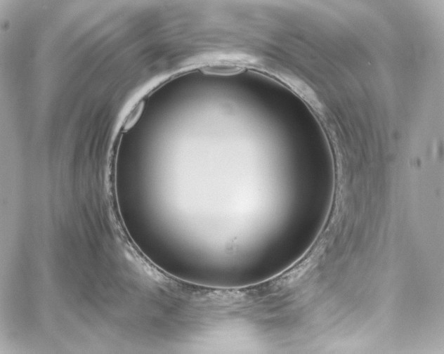 X0000060250912200510281141