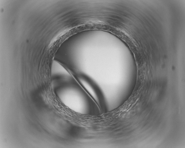 X0000060250919200510281140