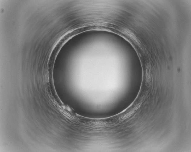 X0000060250924200510281140