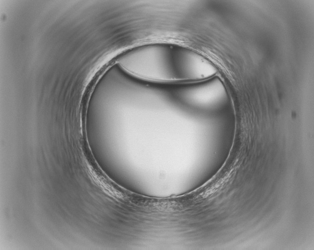 X0000060250934200510281141