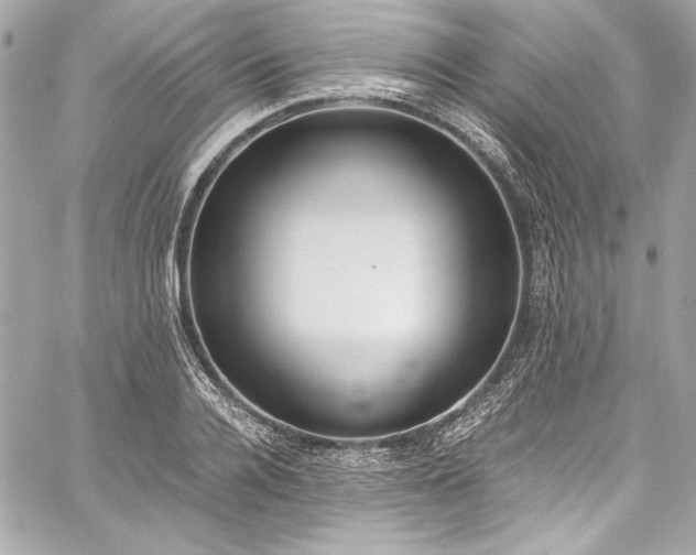 X0000060250936200510281141