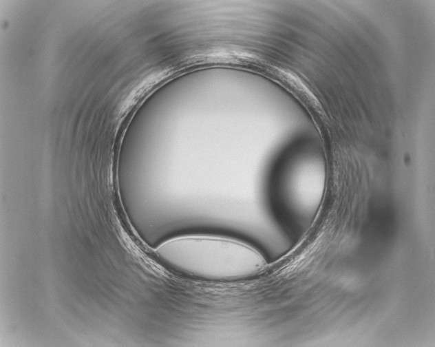 X0000060250938200510281141