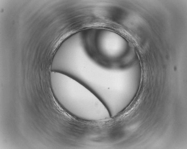 X0000060250945200510281141