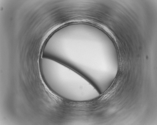X0000060250951200510281141