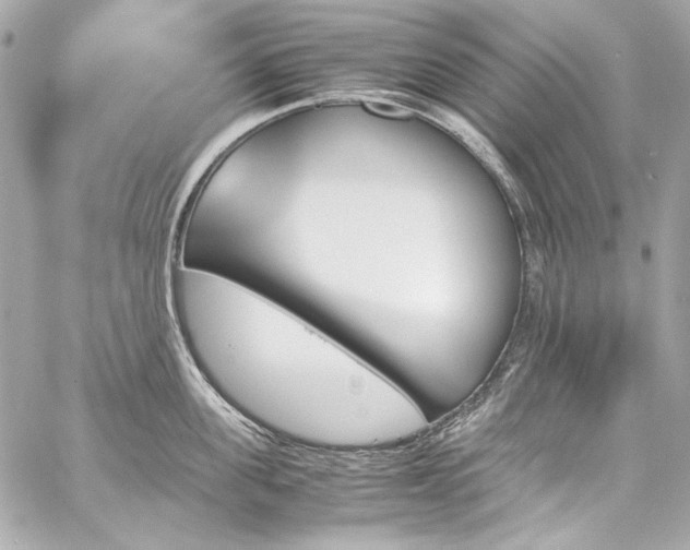 X0000060250955200510281141