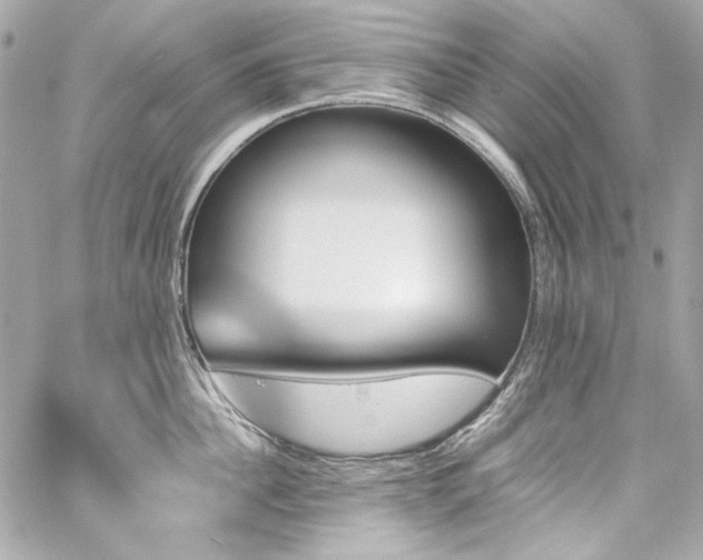 X0000060250956200510281141
