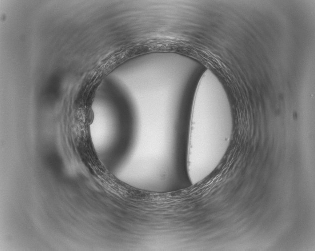 X0000060250964200510281140