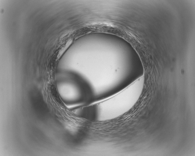 X0000060250965200510281140