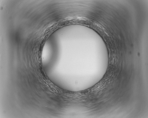 X0000060250966200510281140