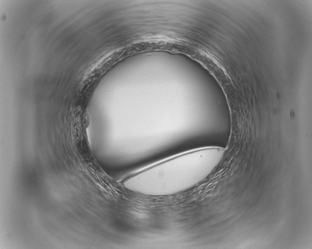 X0000060250968200510281140