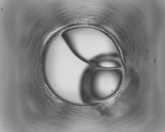 X0000060250971200510281140