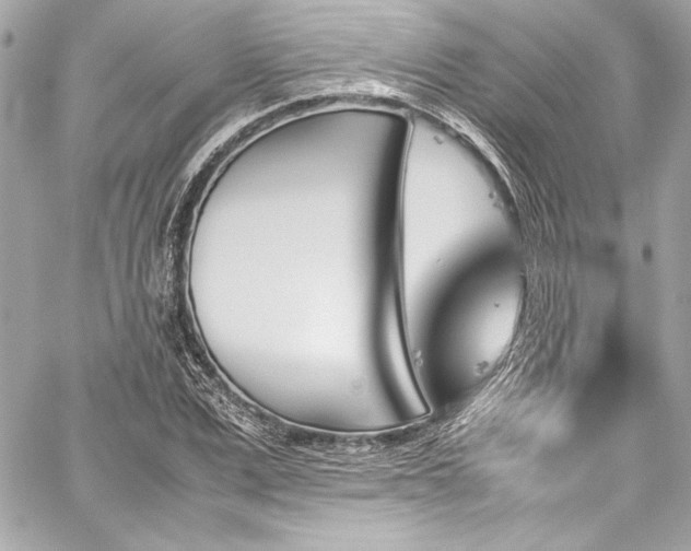 X0000060250975200510281140