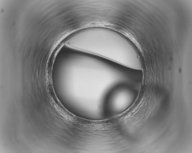 X0000060250976200510281140