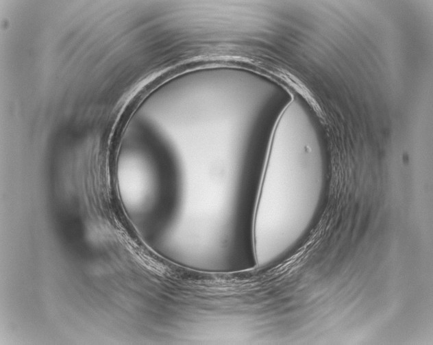 X0000060250980200510281140