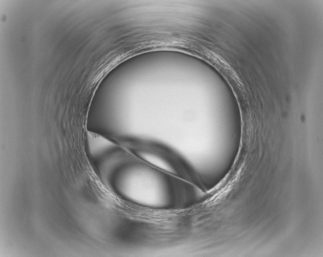 X0000060250985200510281140