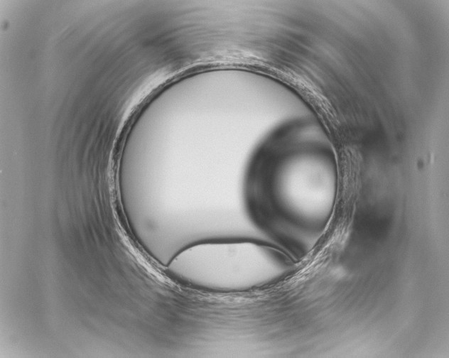 X0000060250990200510281140