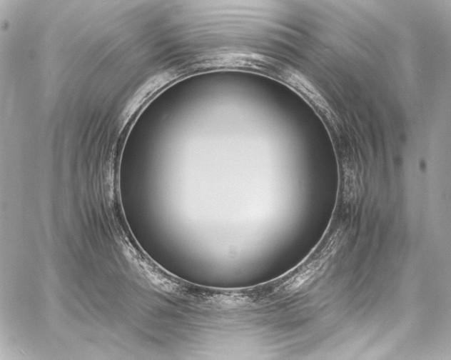 X0000060250994200510281140