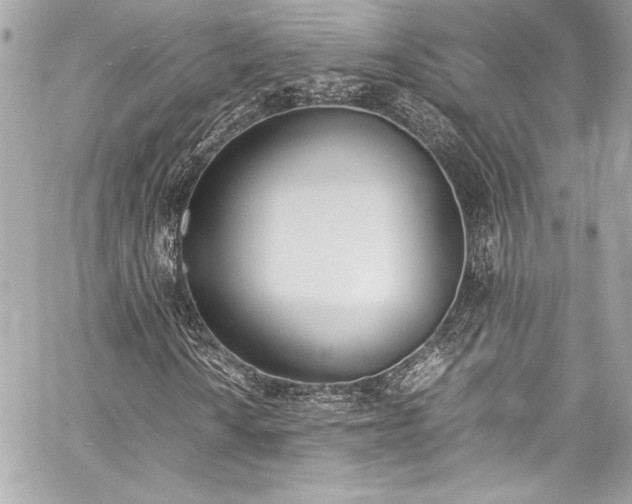 X0000060251010200510281139