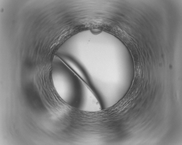 X0000060251012200510281139
