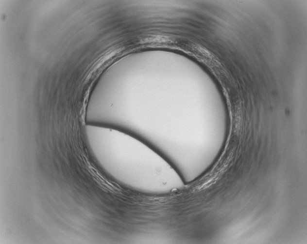 X0000060251017200510281139