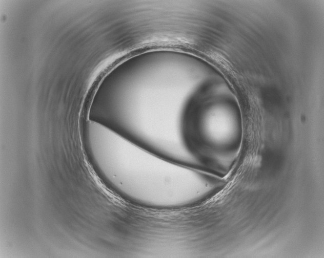 X0000060251030200510281139