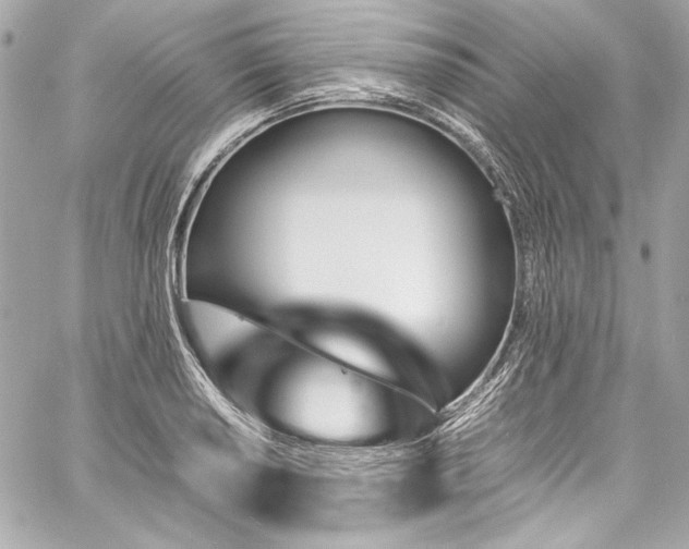 X0000060251034200510281139