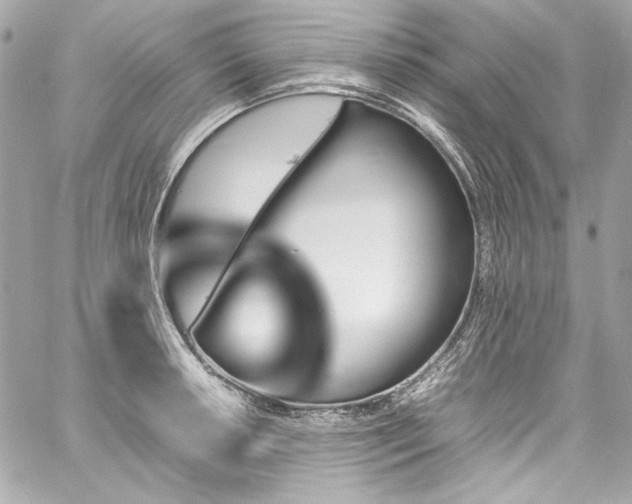 X0000060251042200510281139