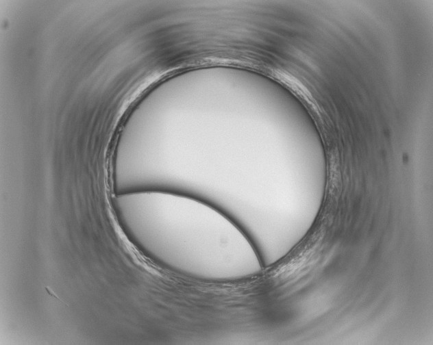 X0000060251047200510281139